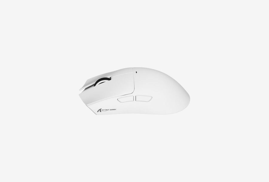 Shark X11SE White_0426513101236