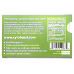 Xyloburst, натурально подслащенная ксилитоловая камедь, со вкусом зеленого чая, 12 шт.