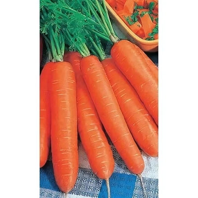 Семена Морковь Хрустящее Счастье (УД) Е/П