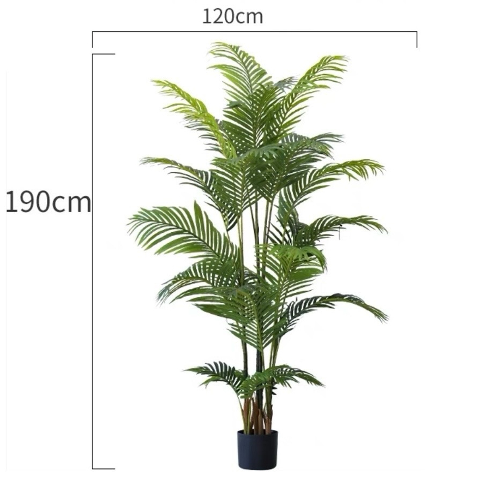 Пальма Дипсис 190 см.