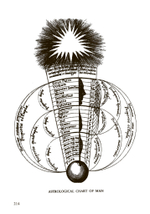 Magica Sexualis. Записки о любви, чёрной магии и тайных науках (PDF)