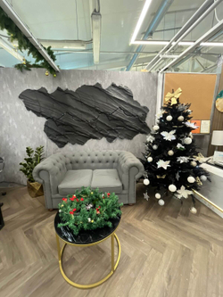 Дикий парус