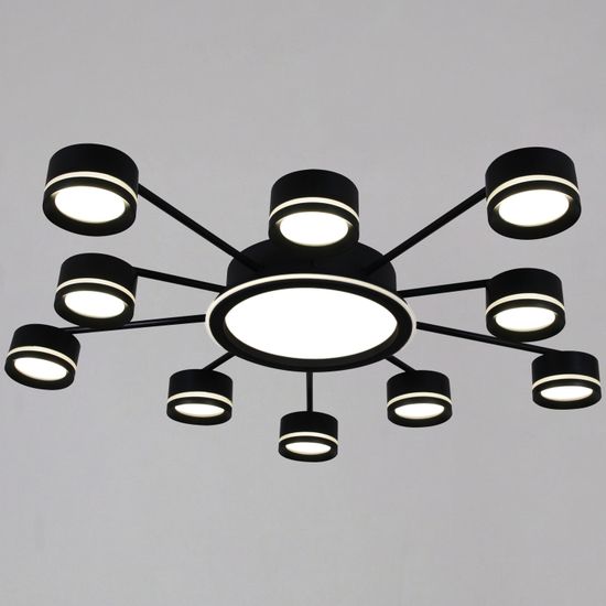 20590-0.3-5+5+1 Black светильник потолочный