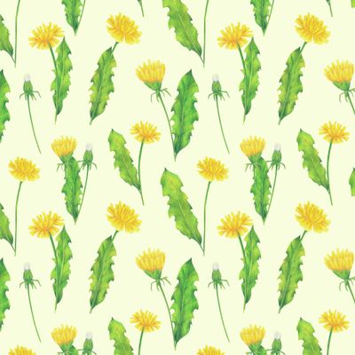 Одуванчики