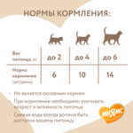 МНЯМС Лакомство "Здоровая кожа и шерсть" хрустящие подушечки для кошек с птицей, 60 г