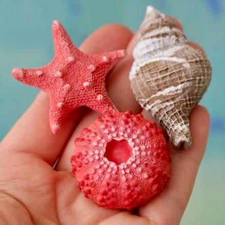 Разные Молды и Вайнеры