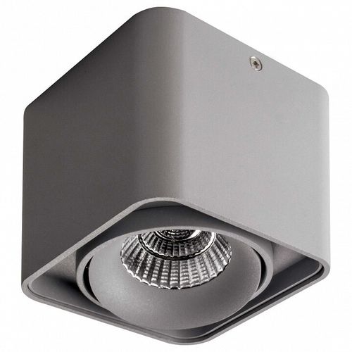 Накладной светильник Lightstar Monocco 052319