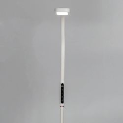 Citilux Марк CL804020 Торшер гибкий светодиодный Белый