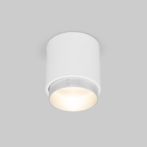 Потолочный светодиодный светильник Cors 25032/LED 10W 4200K белый/серебро