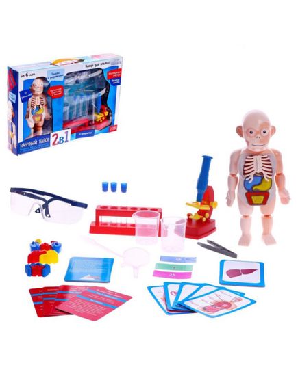 Набор для опытов "Научный набор 2В1",модель тела человека и лабораторная посуда
