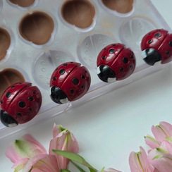 1050 | Форма для шоколадных конфет "Божья коровка" (275*135 мм)