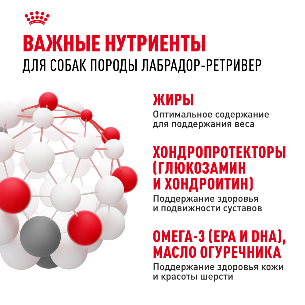 Royal Canin Labrador Retriever Лабрадор Ретривер Эдалт Корм сухой для взрослых собак породы Лабрадор Ретривер в возрасте от 15 месяцев 3кг
