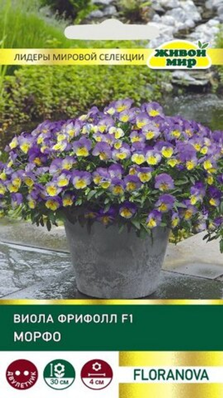 Виола "ЖМ. Фpифoлл F1 Mopфo" 10шт, Великобритания.