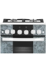 Плита газовая 5500-02 0113