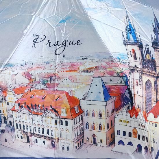 Женский зонт Три Слона Полный автомат 3845-S-05