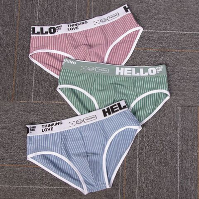 Набор из 3 трусов-брифов в тонкую полоску (Размер: XL) (Цвет: разноцветный)