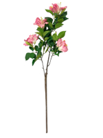 Альстромерия розовая