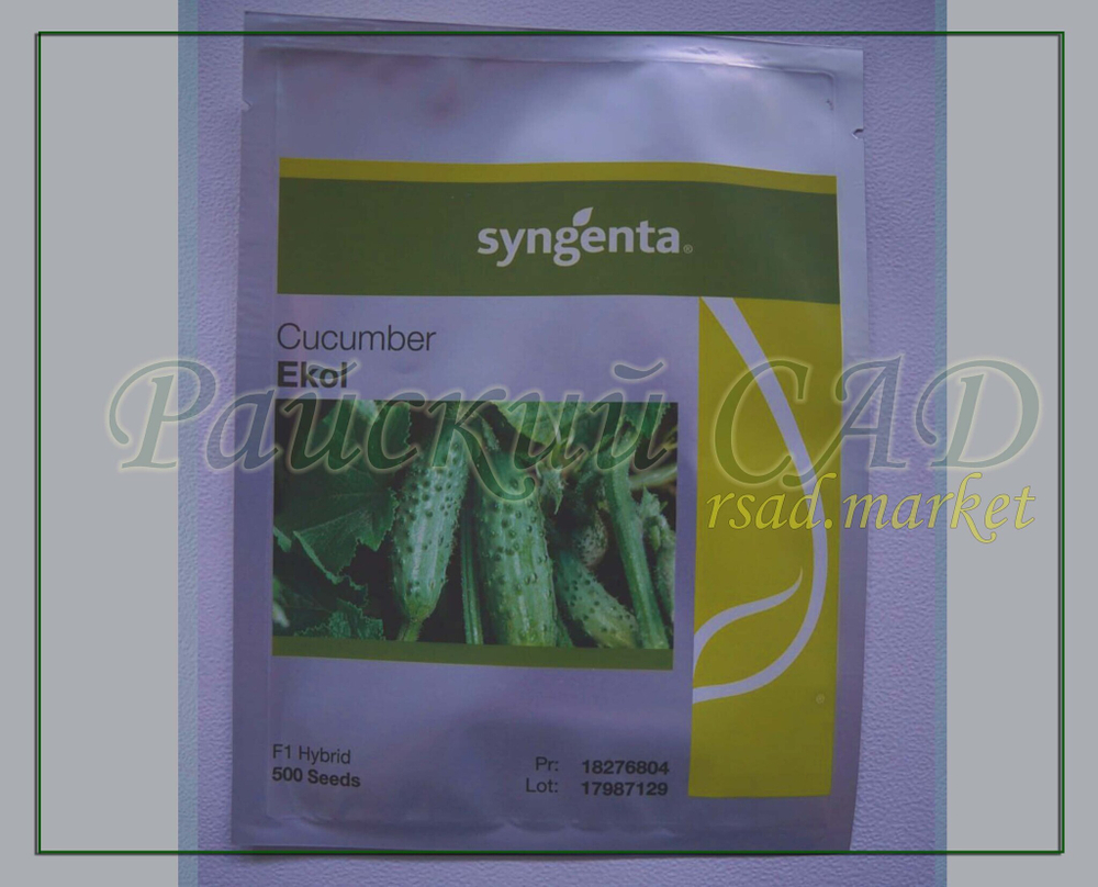 Огурец Эколь F1 / AKOL F1 Syngenta 5шт.