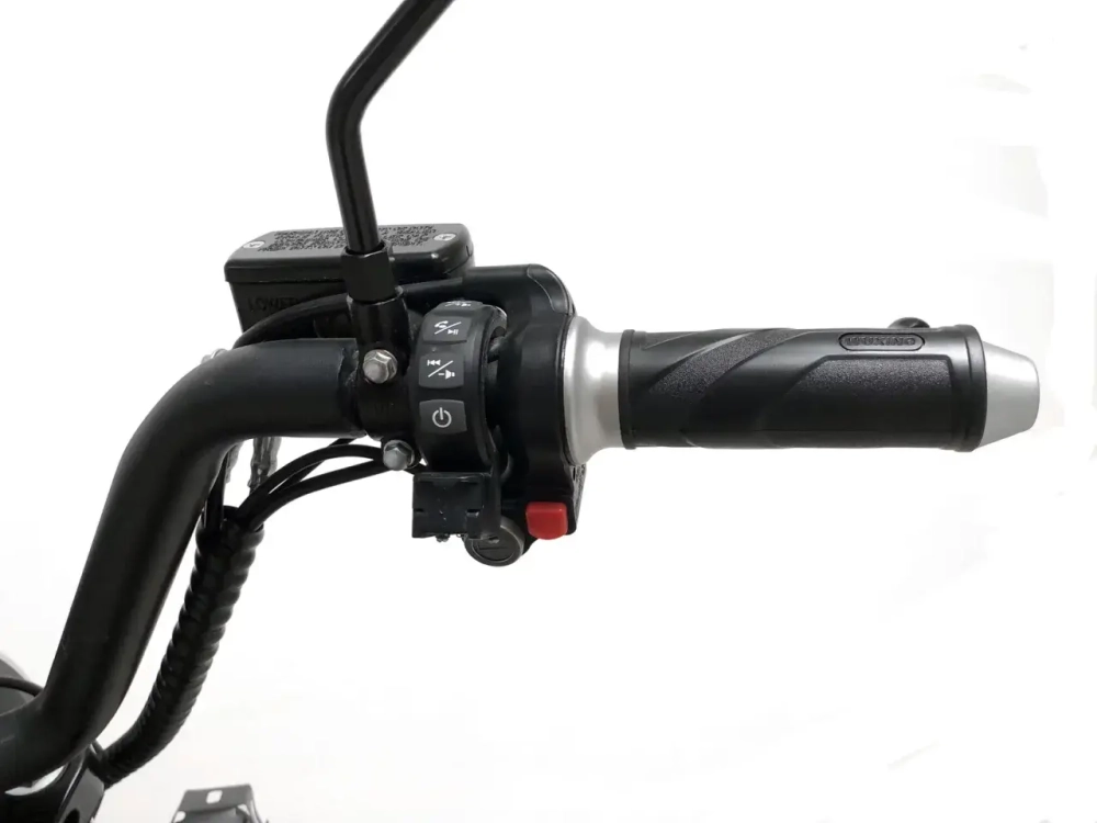 Электроскутер SKYBOARD BR100-5000 (Amur)