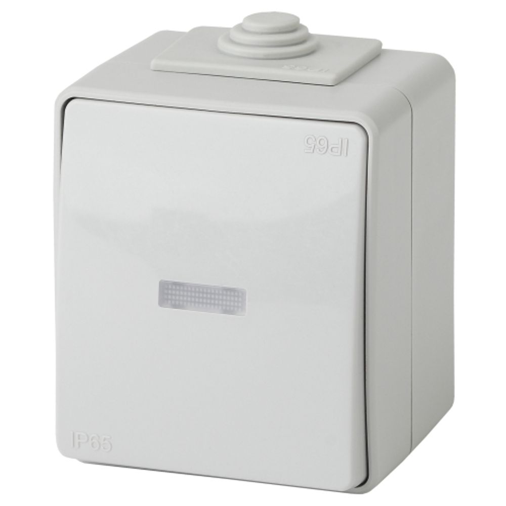 Переключатель ЭРА Эксперт 11-1610-03 с подсветкой IP65 10АХ-250В ОУ серый | Эра Эксперт