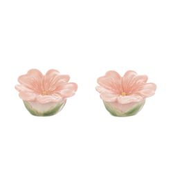 Набор для специй Gipfel Apple Blossom 41536 6x6x5 см