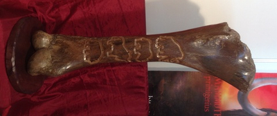 "Ледниковый период". Кость мамонта