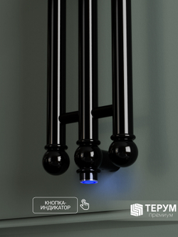 Полотенцесушитель Винтаж 3 120х16 Черный лак