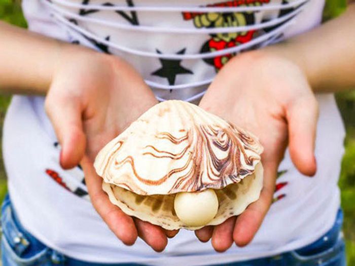 Ракушка-жемчужница из 