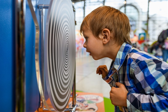 Учебный экспонат Волчки Кюхельхауза (Муар Эффект)