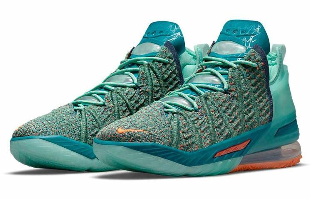 Кроссовки Nike Lebron 18 "We Are Family"