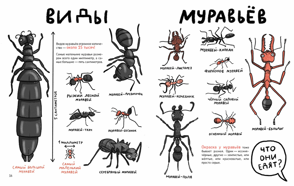 Микросупергерои. Самые умные