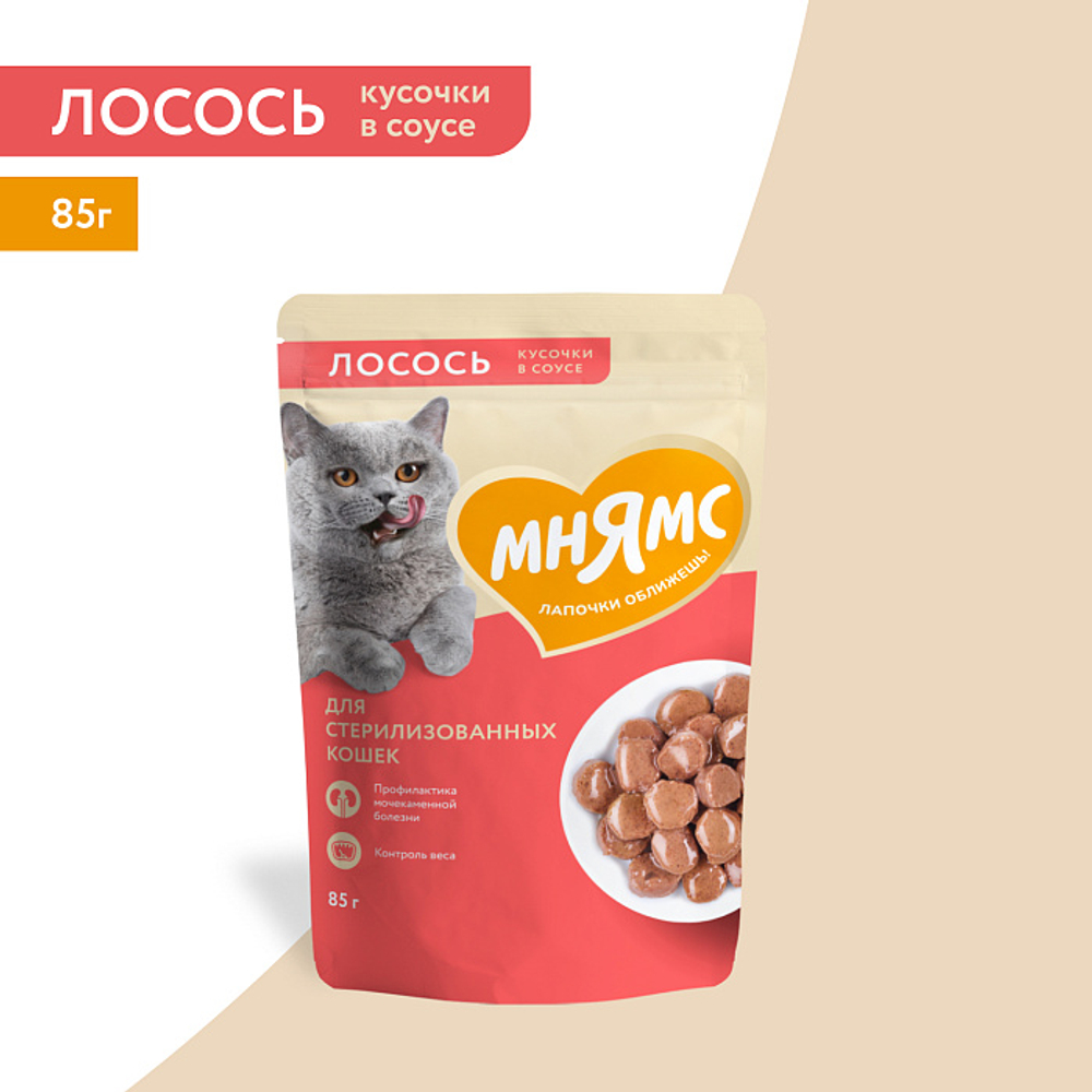 Влажный корм для стерилизованных кошек Мнямс на каждый день кусочки в соусе с лососем 85г 24 шт