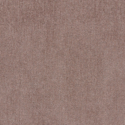 Велюр Daily / Дэйли