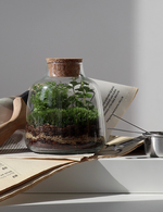 Экосистема Vase