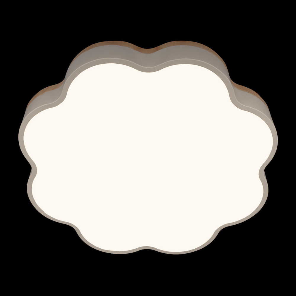 10225/36 White Потолочный светильник LOFT IT Axel