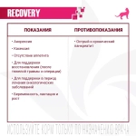 Ветеринарная диета Monge VetSolution Cat Recovery Рекавери для кошек при восстановлении питания в период выздоровления 100 г