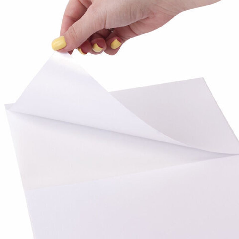 Этикетка самоклеящаяся 210х148 мм, 2 этикетки, 65 г/м2, 100 л., STAFF "EVERYDAY" (сырье Финляндия), 111833