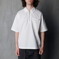 Поло мужское Dickies Cadiz Quarter Zip артикул:DK0A88PIC481 - купить в магазине Дайс