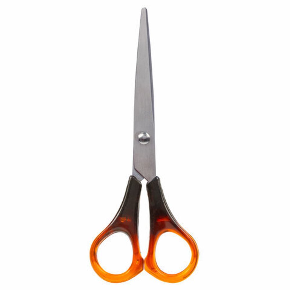 Ножницы STAFF "Basic" 160 мм, ручки под янтарь, ПВХ чехол с европодвесом, 236937