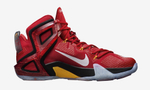 Купить в Москве Nike LeBron 12 Elite Team