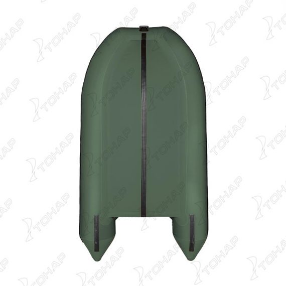 Лодка Тонар Алтай 320L (зеленый)
