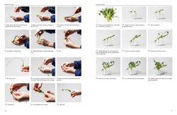 Inspiring Ikebana