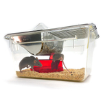 Домик для мышей треугольный