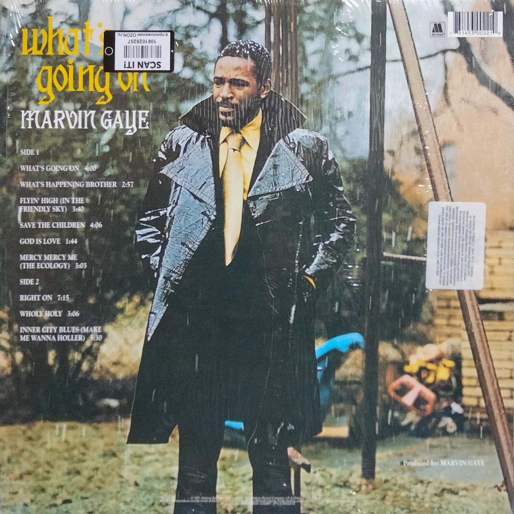 Marvin Gaye / What's Going On (LP)