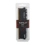 Память TESLA HS DDR4 DIMM 16Гб, 3200МГц, CL22, Retail, 1.2В, с радиатором (TSD43200C22-16GHS)