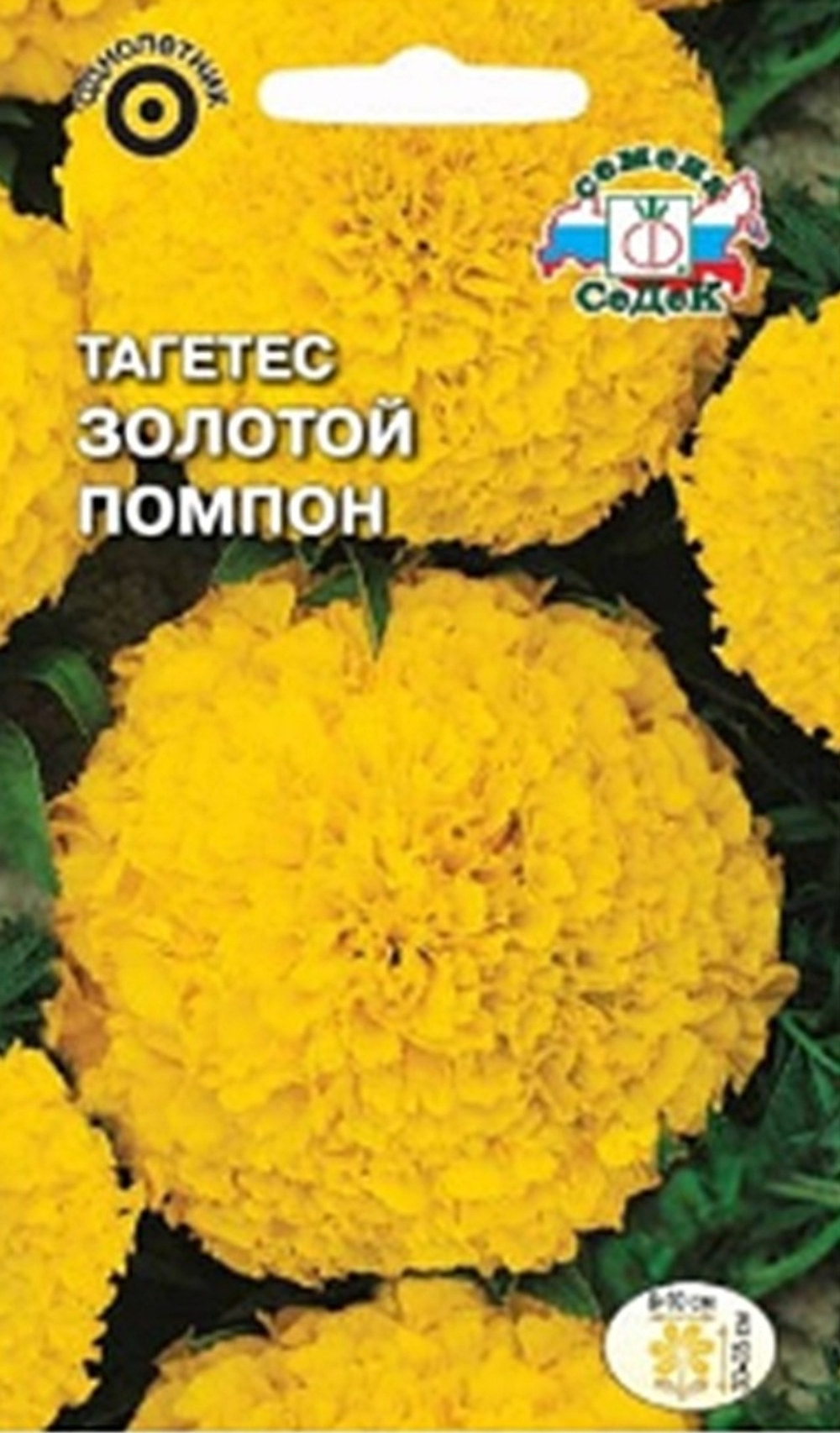 Бархатцы Золотой Помпон