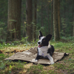 Складная подстилка DOGLEA TRAINING