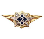 Значок Классность ФСИН 2 класс