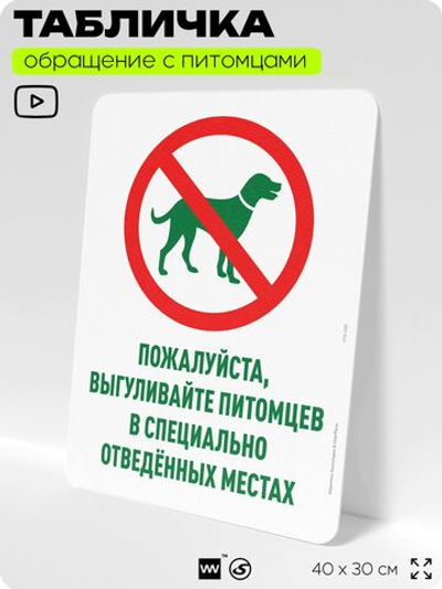Табличка "Выгуливайте питомцев в специально отведенных местах" на дверь и забор, для двора, дома, подъезда, 40х30 см, Silver Plane x Айдентика Технолоджи