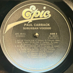 Виниловая пластинка Paul Carrack ‎– Suburban VooDoo LP